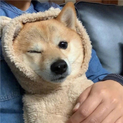 抖音粉丝服务图标